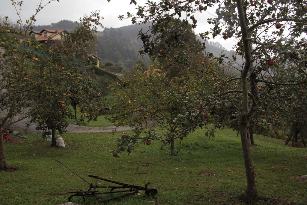 Trisqueles Y Buganvillas Villaviciosa  Dış mekan fotoğraf
